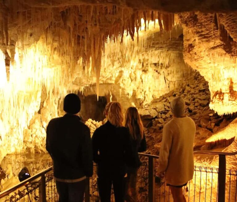 Waitomo Caves, Zealong Tea & Kiwi House Private Tour - Analyzing the Experience’s Value  