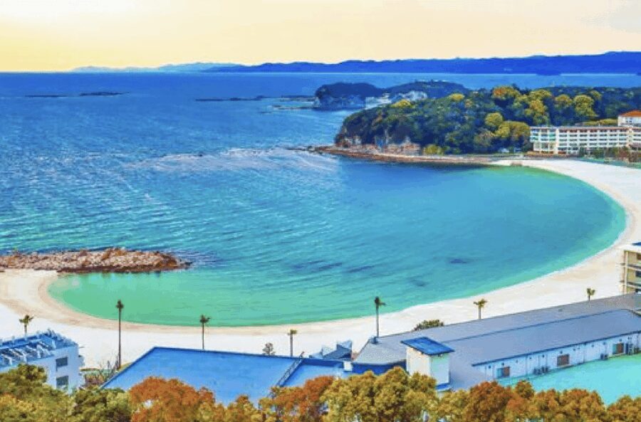 Wakayama: Customizable Private Day Tour - The Sum Up