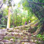 Wakayama: Sacred Journey to Kumano Hayatama and Kamikura - The Experience in Detail