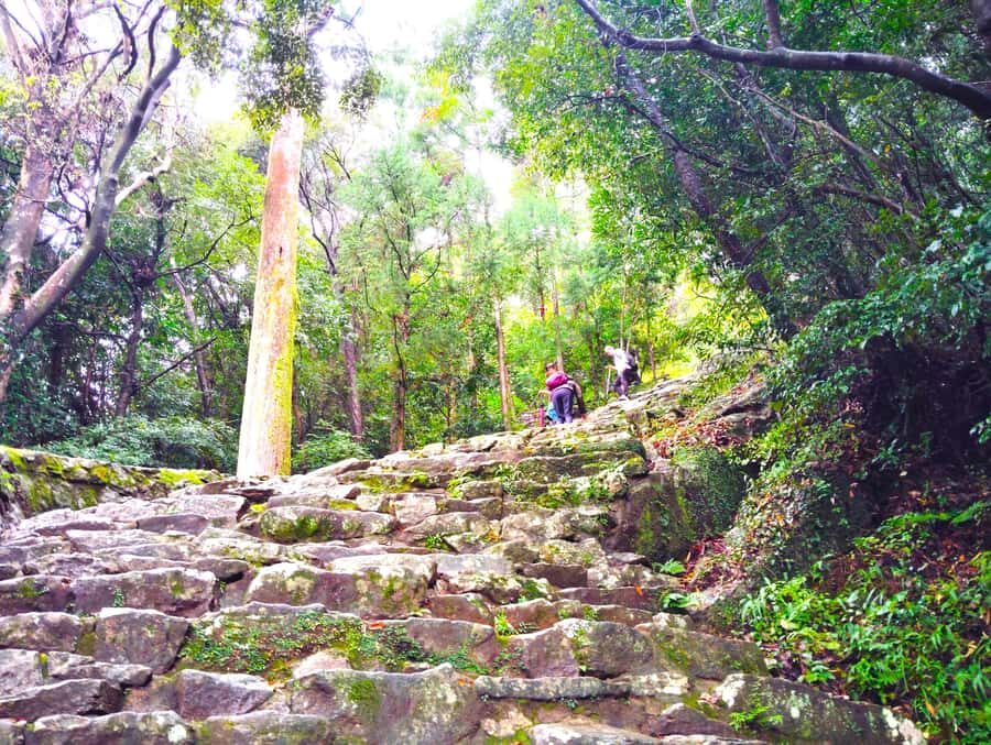 Wakayama: Sacred Journey to Kumano Hayatama and Kamikura - The Experience in Detail