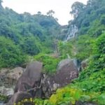 Wanning: Walking Tour in Xinglong Triangle Rainforest - Why This Tour Is Worth Considering