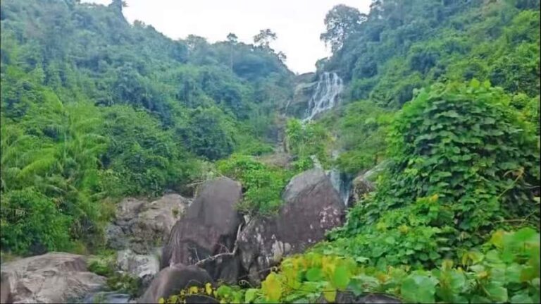 Wanning: Walking Tour in Xinglong Triangle Rainforest - Why This Tour Is Worth Considering