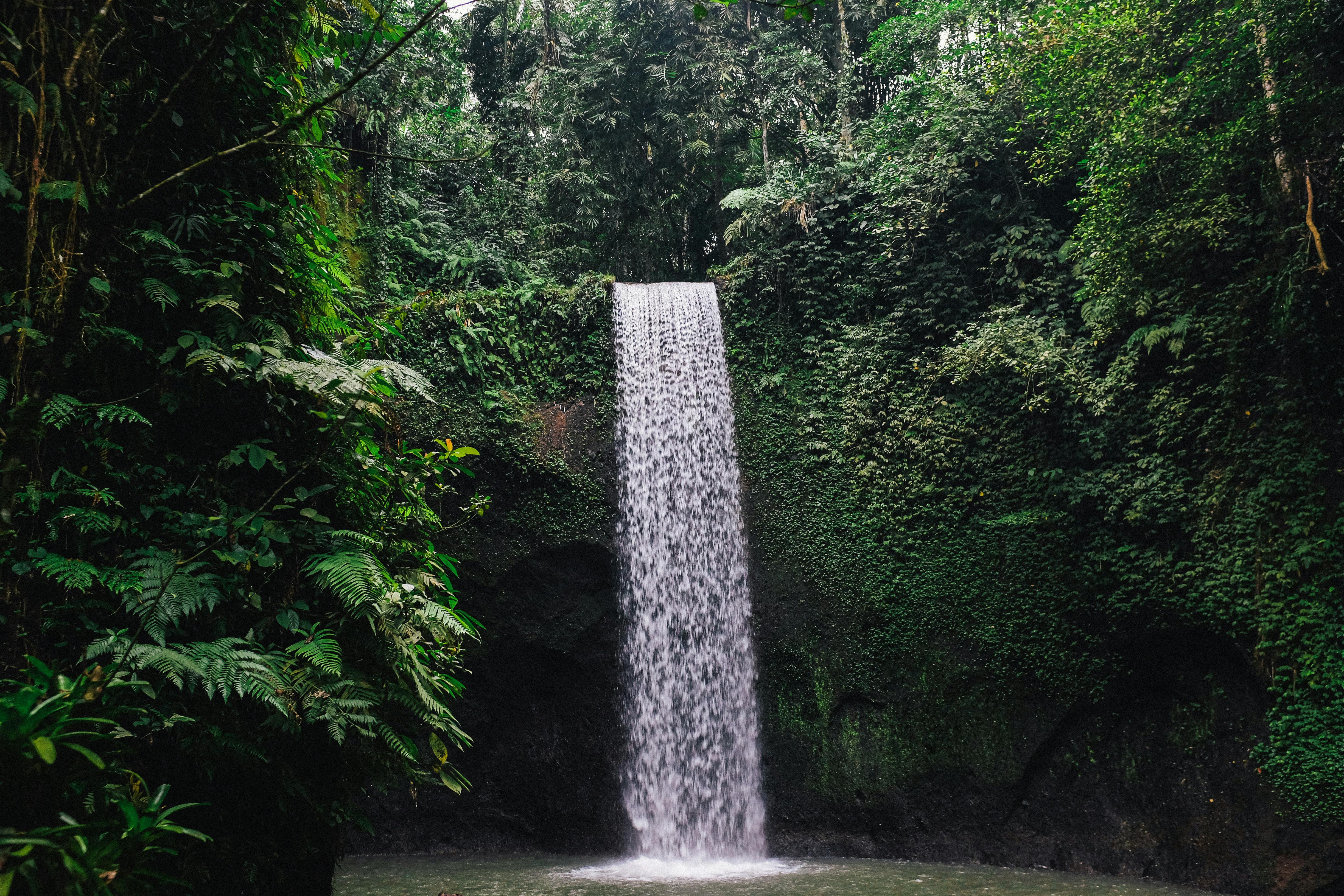 Lush waterfall hidden in Bali jungle canopy