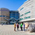 Wellington: Museum of NZ General Admission - Who Will Love This Experience?