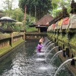 West Bali: Private Blessing Ceremony and Temple Tour - What to Expect from the Tour