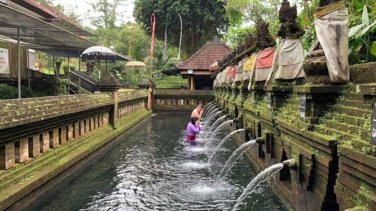 West Bali: Private Blessing Ceremony and Temple Tour - What to Expect from the Tour