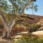 West MacDonnell Ranges Tour from Alice Springs - Authentic Experiences and Guest Insights