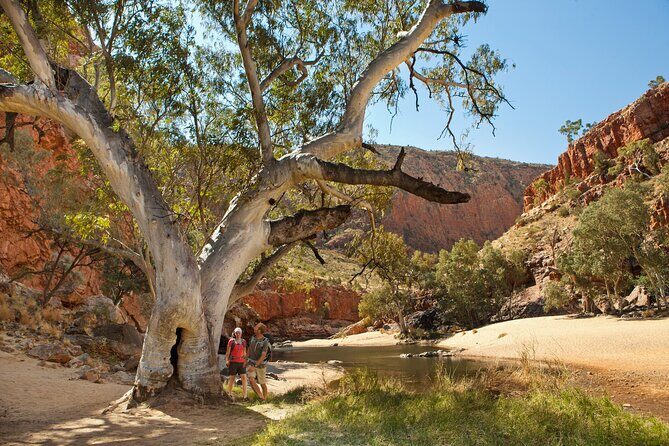 West MacDonnell Ranges Tour from Alice Springs - Authentic Experiences and Guest Insights