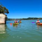 Whakatane: Ohiwa Harbour Guided Kayak Tour - What to Expect During the Tour