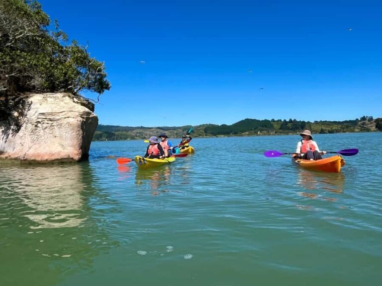 Whakatane: Ohiwa Harbour Guided Kayak Tour - What to Expect During the Tour