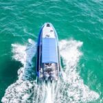 Whale Watching Discovery Tour from Lake Macquarie - Who Will Love This Experience?