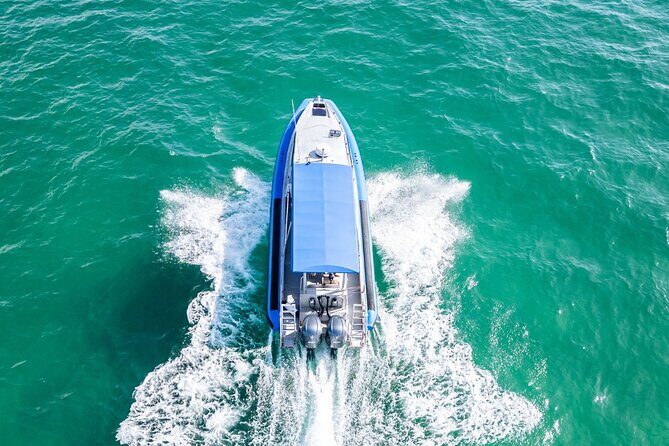 Whale Watching Discovery Tour from Lake Macquarie - Who Will Love This Experience?