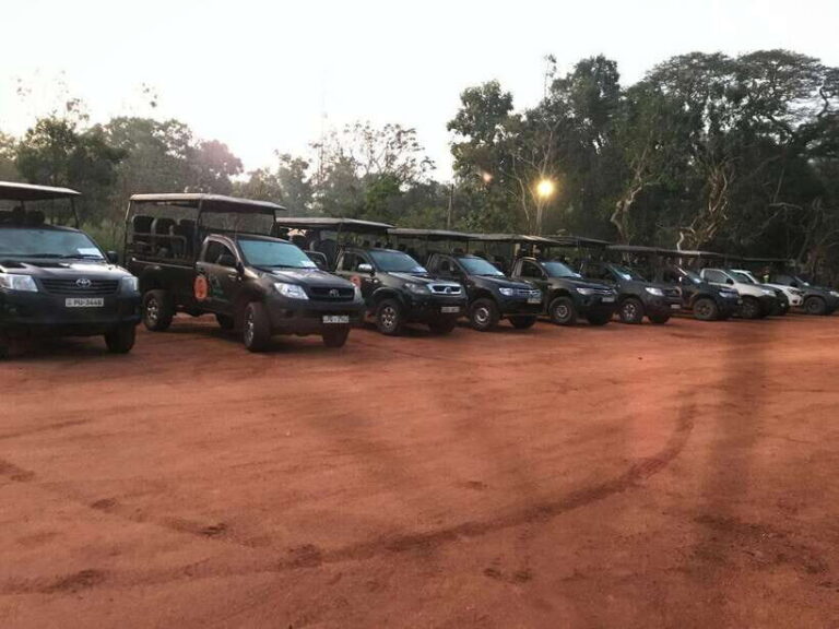 Wilpattu National Park Safari - The Value of the Wilpattu Safari