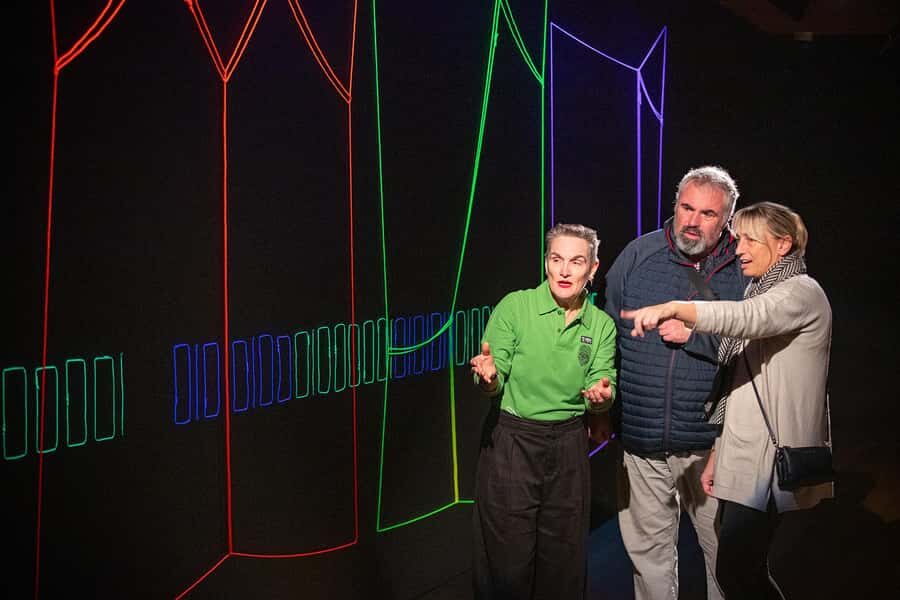 WLG: Museum of NZ Art Narratives Tour & General Admission - Practical Tips for Visitors