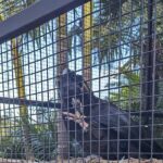 Wollongong Sightseeing Guided Day Tour - An In-Depth Look at the Itinerary