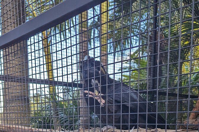 Wollongong Sightseeing Guided Day Tour - An In-Depth Look at the Itinerary