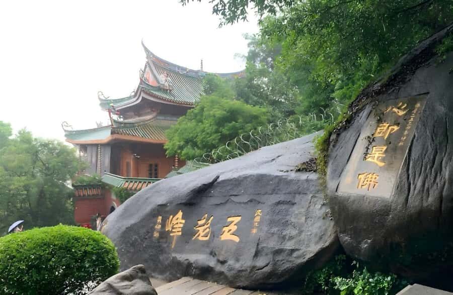 Xiamen: Wanshi Botanical Garden, Nanputuo & XMU 1 dayTour - Insights from Past Participants
