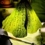 Xian: Hidden Alleys, Street Food, Handicrafts & City Wall - Strolling the Streets of Xian