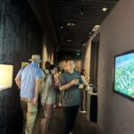 Xi'an: Museum Tour with Transfers and Guide - What to Expect During the Tour