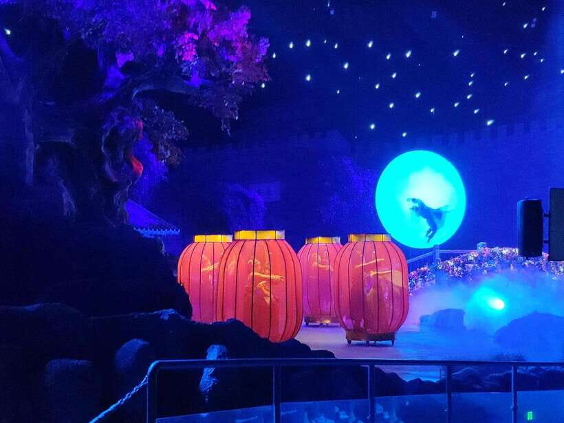 Xi'an Silk Road: Legend of Camel Bell Show Ticket w/Transfer - Who Will Love This Experience?