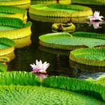 Xishuangbanna: Botanical Garden and Dai Garden 1-Day Tour - Who Is This Tour Best Suited For?