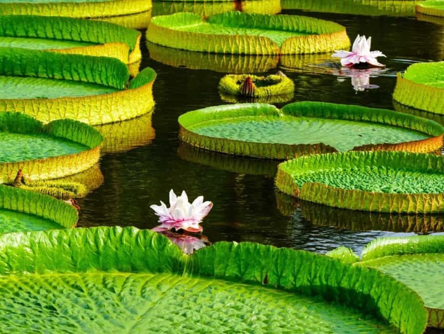 Xishuangbanna: Botanical Garden and Dai Garden 1-Day Tour - Who Is This Tour Best Suited For?