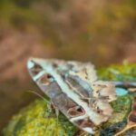 Xishuangbanna: hiking in the rain forest of Jinuo Mountain - Final Thoughts