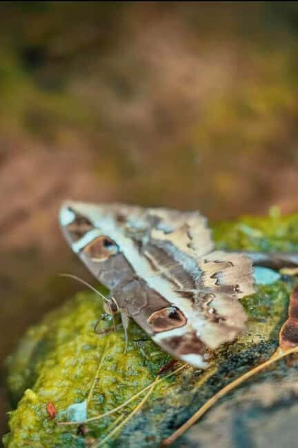 Xishuangbanna: hiking in the rain forest of Jinuo Mountain - Final Thoughts