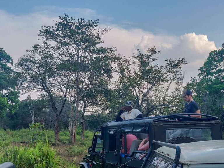 Yala National Park Private Safari from Ella - Introduction: Why This Tour Might Be Perfect for You