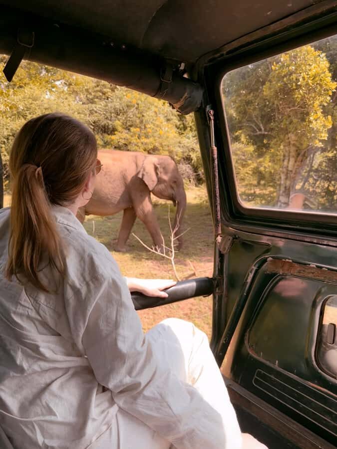 Yala National Park : Safari and Village Tour-Morning/evening - Practical Details and What to Expect