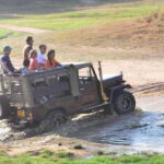 Yala Private Safari: Half-Day or Full-Day with Picnic Lunch - Why This Tour Offers Great Value