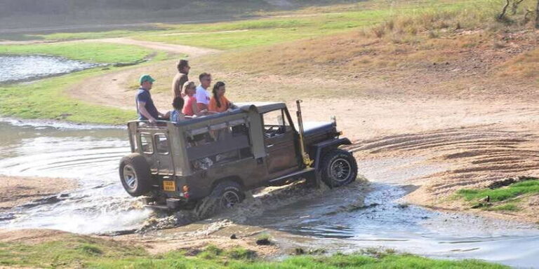 Yala Private Safari: Half-Day or Full-Day with Picnic Lunch - Why This Tour Offers Great Value