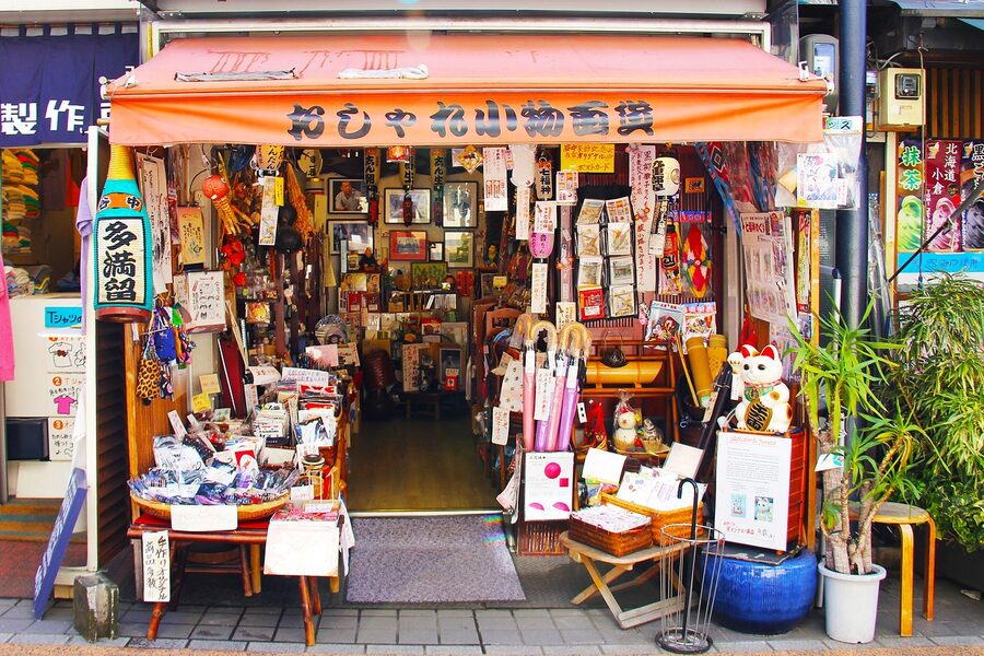 Yanaka Ginza cat town Tokyo