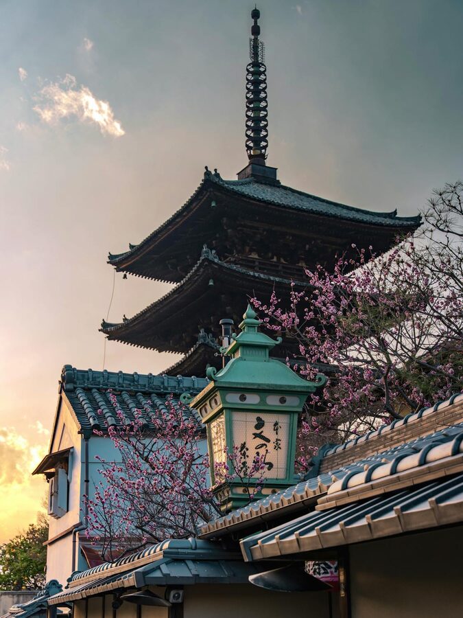 Yasaka Pagoda surrounded by cherry blossom trees during spring in Kyoto