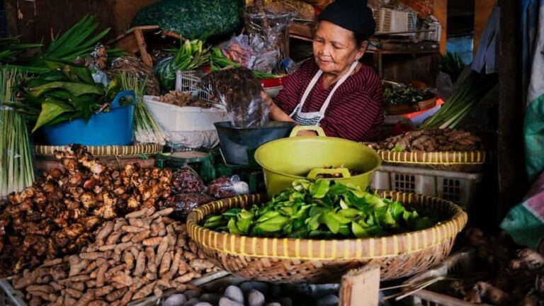 Yogakarta: Jamu Workshop with a Royal Healers Descendant - The Market Visit: Sourcing Fresh Herbs