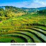 YOGYAKARTA; KEDUNG KAYANG WATERFALL AND SELOGRIYO TEMPLE. - Detailed Experience Breakdown