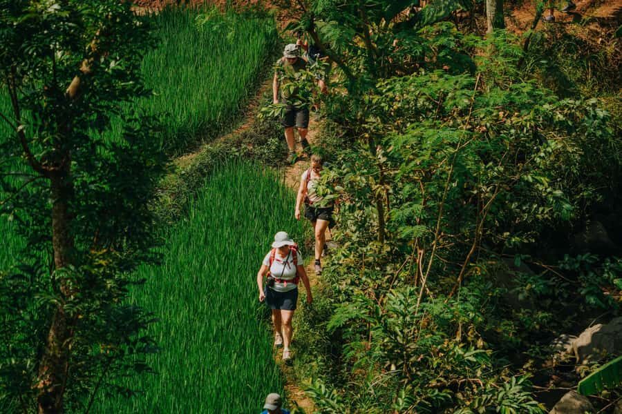 Yogyakarta: Merapi Sunrise Jeep and Trek with Lunch - Practical Details & What to Bring