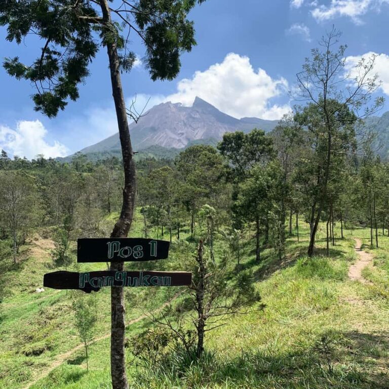 Yogyakarta: Merapi Volcano Trekking Adventure in Ecotourism - What Makes This Tour Stand Out