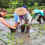 Yogyakarta: Village Cycling Tour with Classic Bicycle - An Honest Look at the Village Cycling Experience