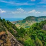 YOGYAKARTA;CLIMBING NGLANGGERAN ANCIENT MOUNTAIN,PINDUL CAVE - An In-Depth Look at the Tour