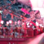 Yokohama Cherry Blossom Half Day Walking Tour with a Local Guide - What Reviewers Have Noted