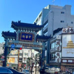 Yokohama: Chinatown Guided Walking Tour - Analyzing the Experience: Value and Practicality