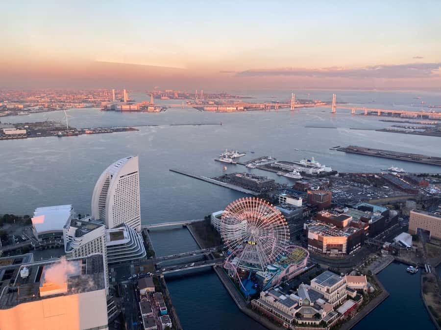 Yokohamas Best Views: Cosmo World Thrills & Bayside Dining - Transportation & Logistics