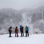 Yonako Falls Expedition: A Snowshoeing Adventure - Who Will Love This Tour?