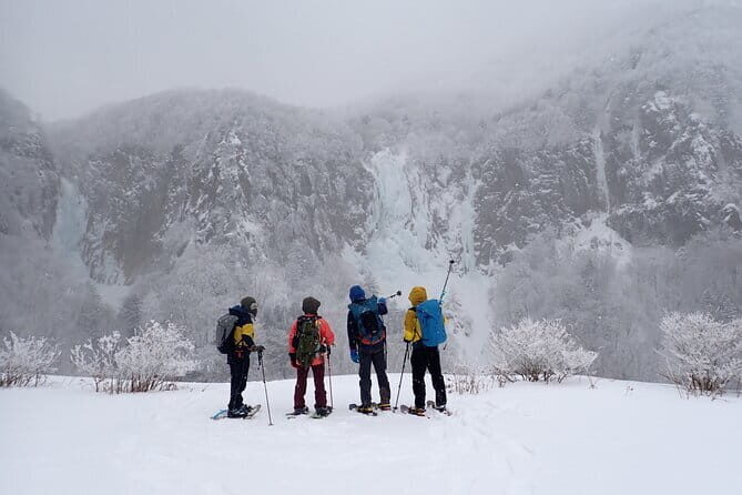 Yonako Falls Expedition: A Snowshoeing Adventure - Who Will Love This Tour?