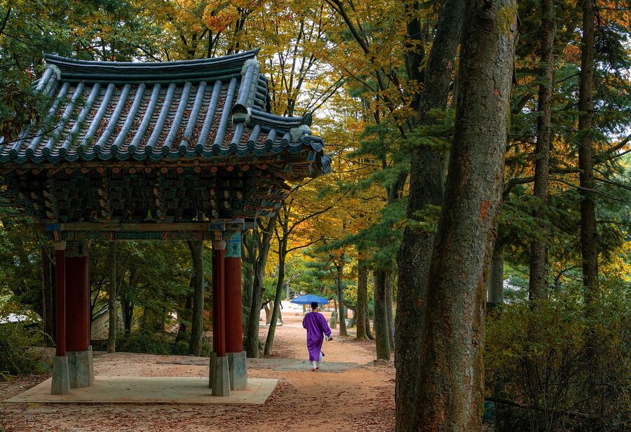 Walking path under autumn trees at the Korean Folk Village in Yongin