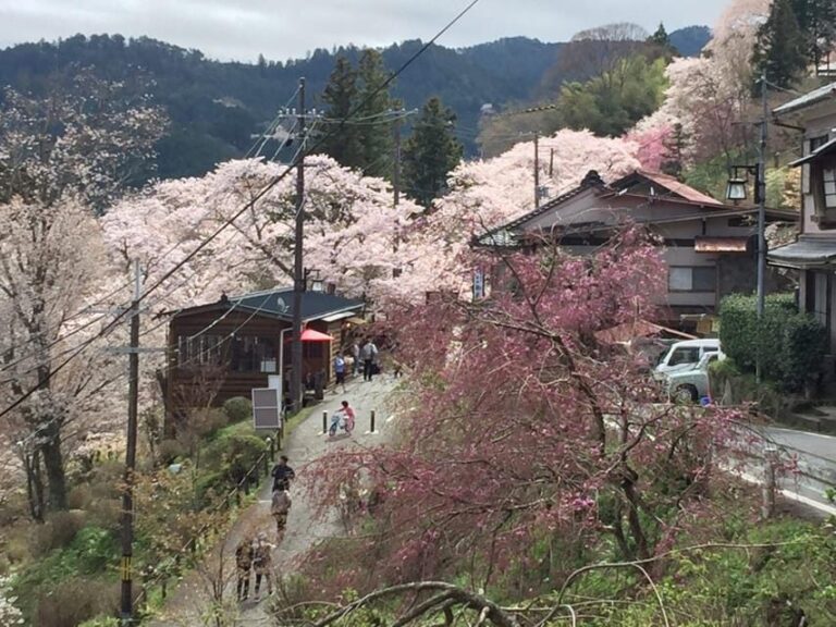 Yoshino: Private Guided Tour & Hiking in a Japanese Mountain - Why You Should Consider This Tour