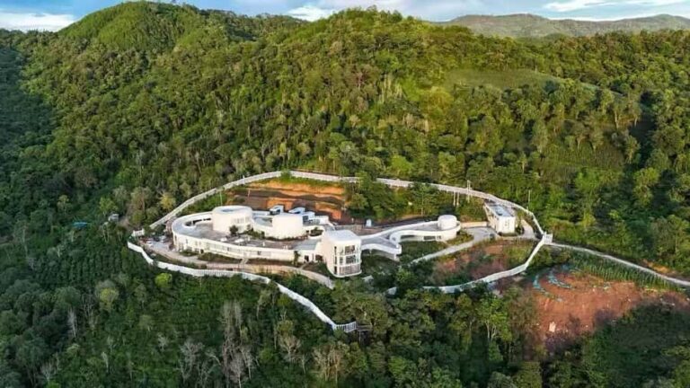 Yunnan Coffee Valley | Half-Day Road Trip - Transportation and Group Size