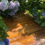 Yunnan Dali Erhai 3 Pagodas of Chongsheng Temple One Day Tour - Transportation and Group Size