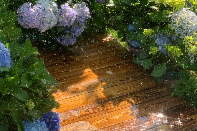 Yunnan Dali Erhai 3 Pagodas of Chongsheng Temple One Day Tour - Transportation and Group Size